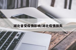 湖北省受疫情影响/湖北疫情损失